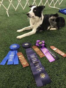 32652417_2288808067803515_1401279083714707456_n