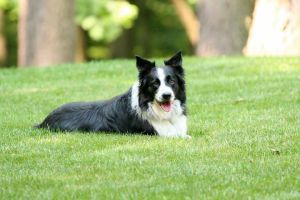 32919052_1906610429409586_2593779596717457408_n