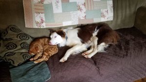 32557069_10204368899698215_559011915087478784_n