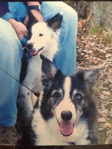 32559845_2547074905318370_5228085718860955648_n