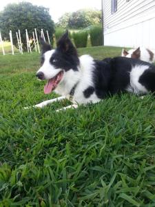 32595212_2043608332340762_5038947655636484096_n