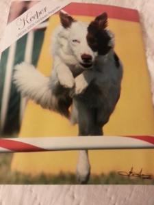 32631935_2043610485673880_3802173760753106944_n