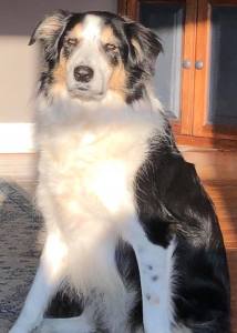 32636784_10216134907149249_77534493384114176_n