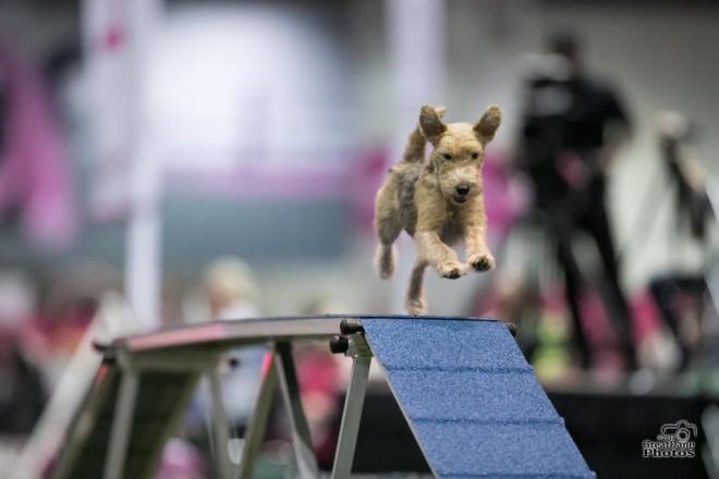 32751455_10213994276983593_207883263304269824_n