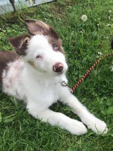 32780112_983885905112299_5870360870676070400_n