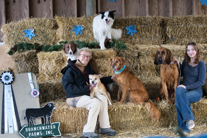 Barn Hunt - Grace King