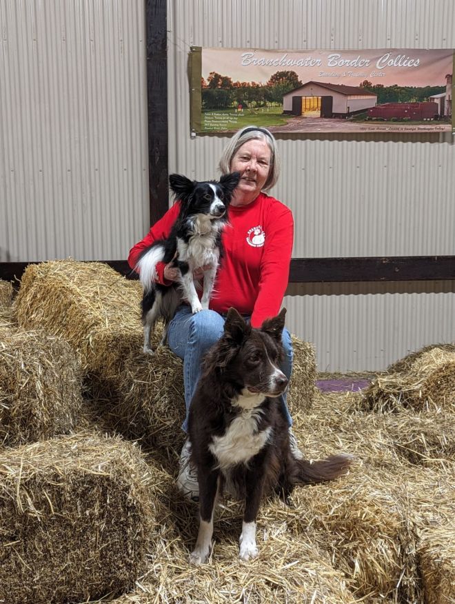 Barn Hunt - Sally Josselyn